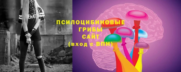 крисы Арсеньев
