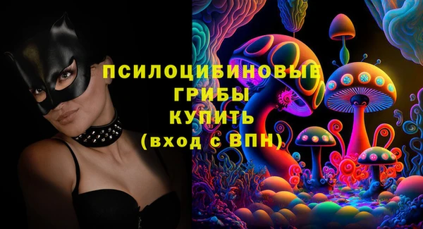 крисы Арсеньев